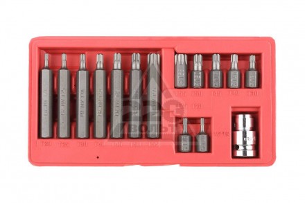 Набор бит TORX &quot;ЭКСПЕРТ&quot; 15 предметов, пластиковый бокс, ЗУБР